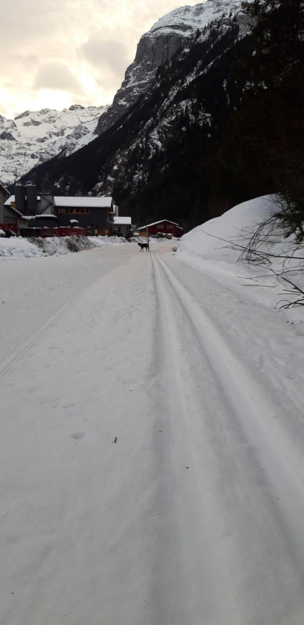 Hostel Engelberg "Mein Trail Hostel" ภายนอก รูปภาพ